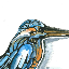 Geno's avatar